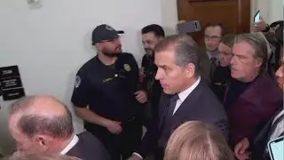 Hunter Biden Makes Surprise Appearance at Committee Hearing