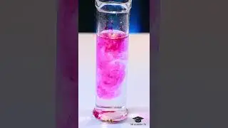 YouTube shorts| Sodium And phenolphthalein |Trending Science |The academy SL Sahan I Herath #shorts