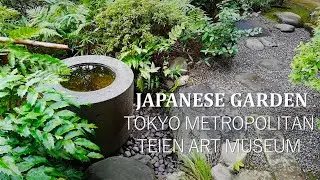 Inside the Japanese Garden at Tokyo Metroporitan Teien Art Museum