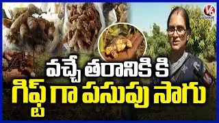 Farmer Kavitha Cultivating 11 Varieties of Turmeric in Telangana  V6 News