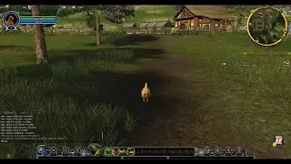 Lord of the Rings Online (LOTRO) *Solo* Free Range (