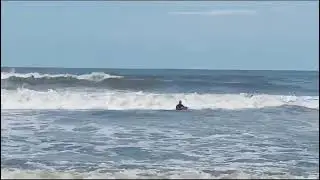 DRISHTI LIFESAVERS RESCUE CALF FROM DROWNING OFF PATNEM BEACH