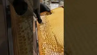 🐝Honigwabe in Kleine St&uuml;cke schneiden? 🤔