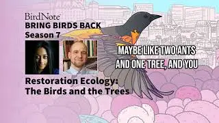 Restoration Ecology: The Birds and the Trees