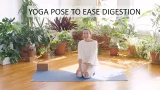 Technique to Reset | With SKY TING Yoga Teacher Abigail Stevenson