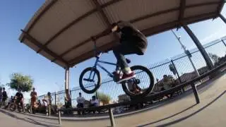 All Day Bmx Shop 
