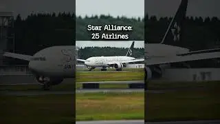 Largest airline alliances! #avgeeks #aviation #airline #planes #flight