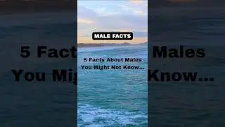 5 Facts About Males You Might Not Know // Male Facts #malefacts #facts #factsshorts #viralshorts
