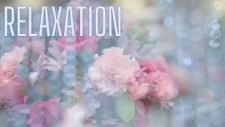 Piano music For Relaxing, Sleeping, Stress Relief, and Meditation🌷 Beautiful Spring Flowers