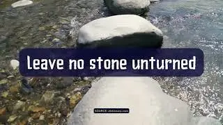 Idiom of the day: 'Leave no stone unturned' origin and meaning