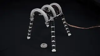 Embedded shape morphing for morphologically adaptive robots