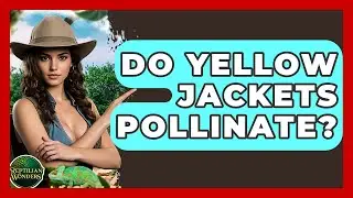 Do Yellow Jackets Pollinate? - Reptilian Wonders