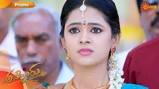 Ammanoru - Promo | 25th January 2020 | Udaya TV Serial | Kannada Serial