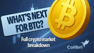 LIVE Bitcoin Market Review with the Colibri Team | Live Stream