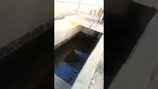 Wastewater treatment in sugar industry