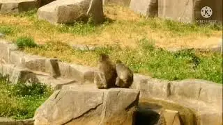 Milwaukee County Zoo Adventure