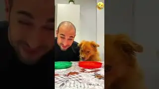 My time to eat with my dog so happy  #pet #funny #dog #foryou #asmr #shorts