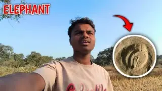 Hamare Gaon Ke Nadi Side Mein Elephant Ka FootPrint