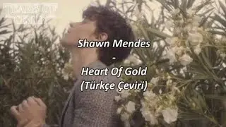 Shawn Mendes-Heart Of Gold(Türkçe Çeviri)