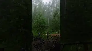 Forest Symphony:Rain on Cabin Terrace | Rainvana #rain #relax #rainvana #forest