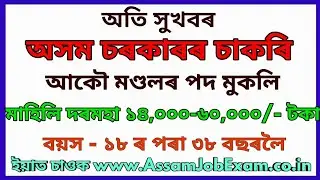 Assam Government Job Recruitment for Mandal Post || Apply All Assam Candidate