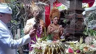 Menetralisir unsur butakala  pada kedua mempelai dengan natab Banten pekala-kalaan, 