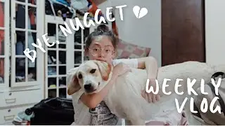 Vlog: Breaking Down and Saying Goodbye to Nugget || Michelle G.