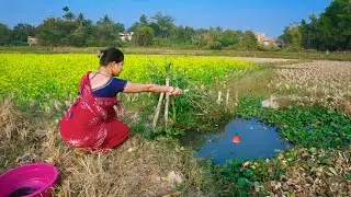 Fishing video || Cute village lady is fishing with a hook in the mustard field canal || Hook fishing