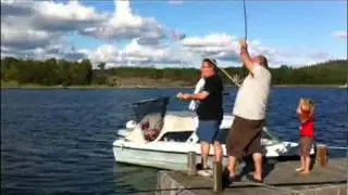 Fish In The Baltic Sea