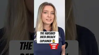 The Harvard University Data Beach | Everything You Need to Know