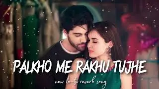 Palkho me rakhu tujhe ❣️ New love hindi lo-fi song slow and reverb