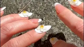 Nature ASMR &bull; Rock &bull; Tapping, Scratching &bull; No Talking