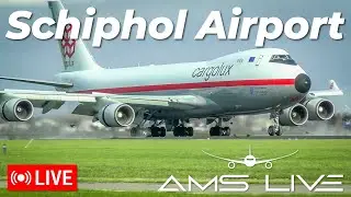LIVE: Crosswindy Arrivals at Amsterdam Schiphol Airport | Oct 30, 2025