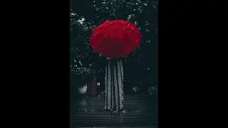 RELAXING MUSIC OF MAGICAL RAIN DROPS WITH HEAVENLY DIVINE FLOWER