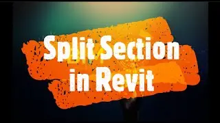 How to split Section in Revit || Section Split