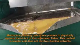 Cottonseed oil pressing equipment process flow and principle
