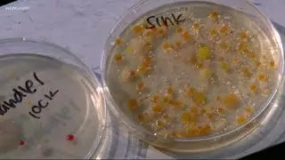 The disgusting bacteria that's growing in airplanes