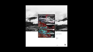 J&ouml;rg Rodriguez - Paraphonic [Illegal Alien Records]