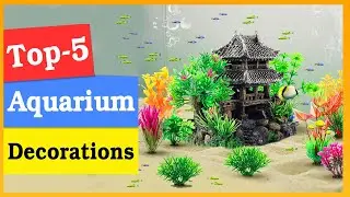 Aquarium Decorations to Buy on Amazon in 2025 | aquarium decorations to buy on market in 2025