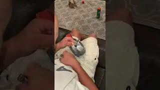CUTTING MY AFRICAN GREY PARROTS NAILS