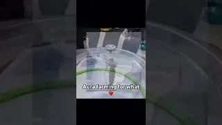 blade #shorts #meme #memes