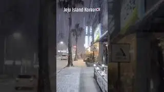 Winter in  South Korea🇰🇷 Jeju Island🌴