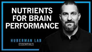 Food & Supplements for Brain Health & Cognitive Performance | Huberman Lab Essentials