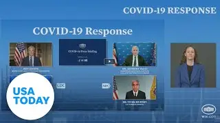 White House COVID-19 response team hold a news conference USA Today