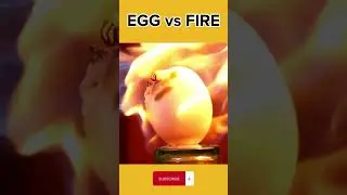 EGG vs FIRE EXPERIMENT #satisfying #trending #viral #ytshorts #experiments #usa #egg #999shorts