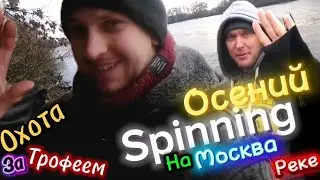 Рыбалка на Москва реке.  Долгожданая встреча, спинринг с берега ч1 октябрь 2025#fishing 