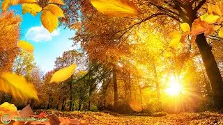 Morning Music 528Hz