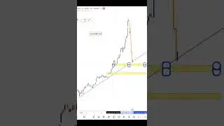1 февраля 2026 г.