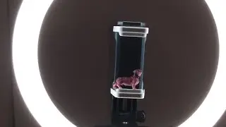 Unboxin Doxin - Sensyne Ring Light