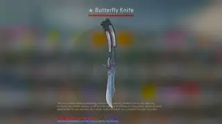 This CSGO Knife has NO SKIN... | AIDENGAMBLES